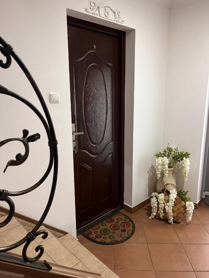 Apartament Na Starowce Boho 普什奇纳 外观 照片